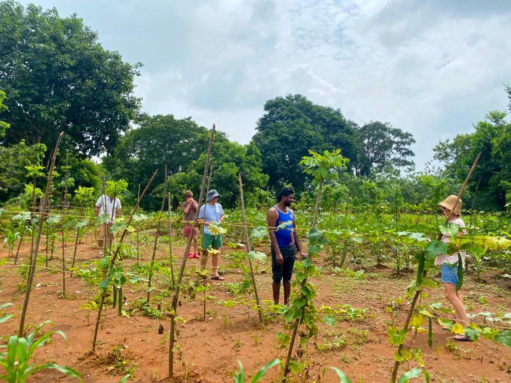 Moni Farm House Wilpattu Nochchiyagama Exterior photo
