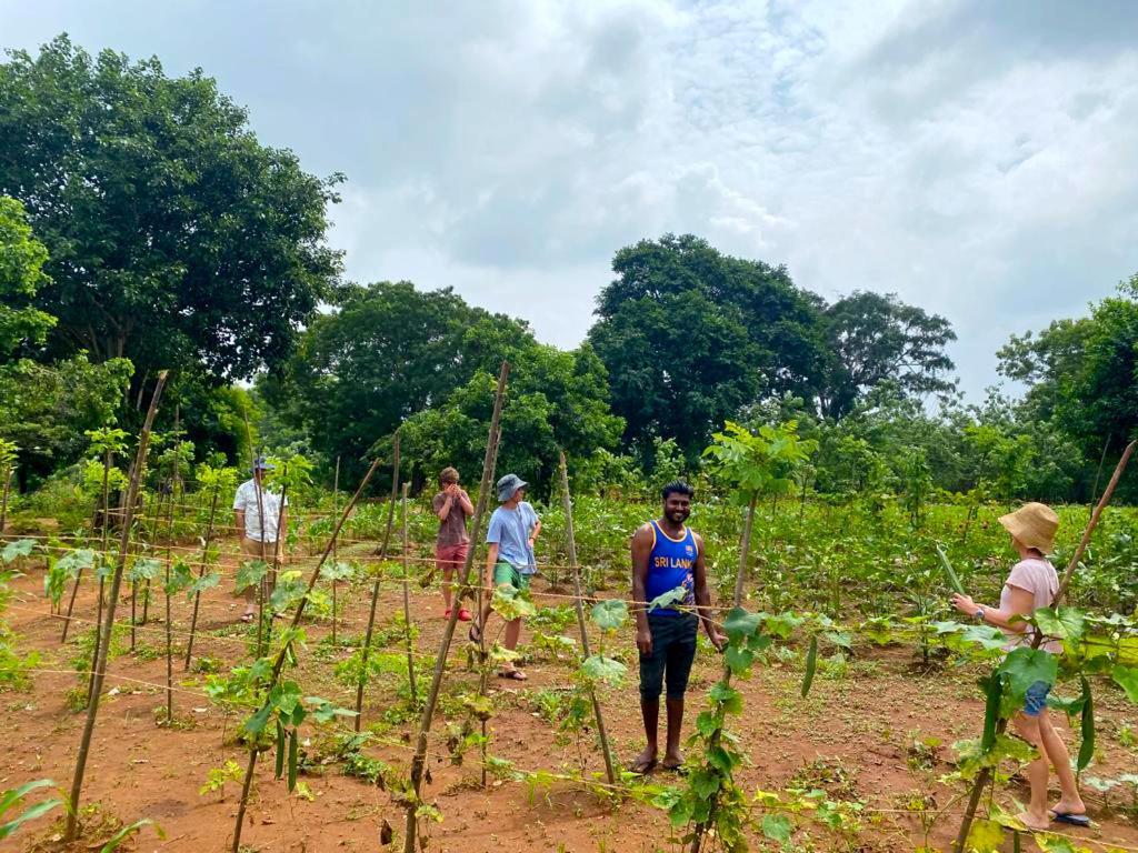 Moni Farm House Wilpattu Nochchiyagama Exterior photo